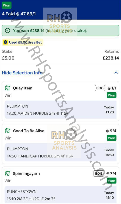 Horse racing 4-fold accumulator winner at 47.63/1 odds Plumpton and Punchestown